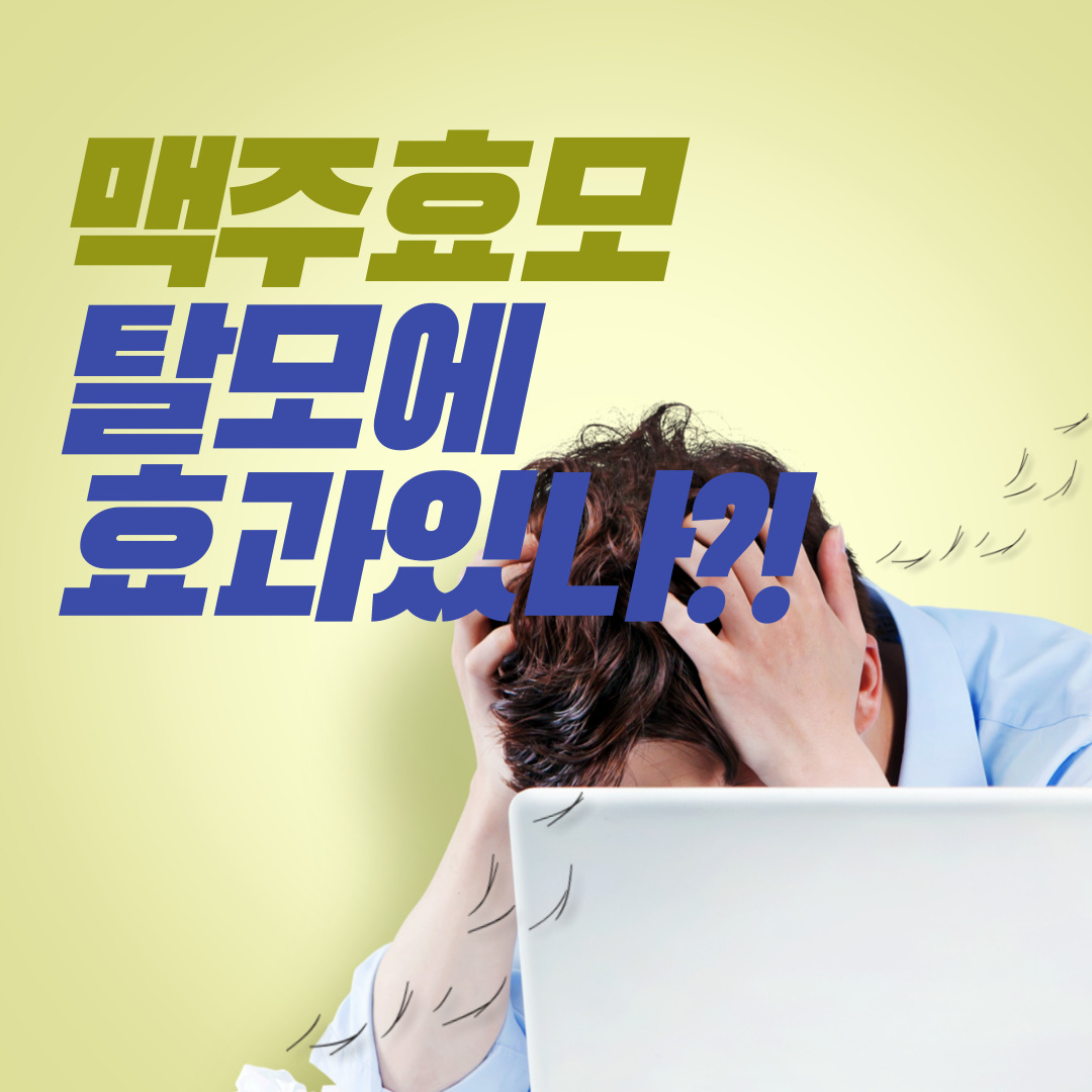 한량, 지적한량, 한량시대, 탈모, 맥주효모