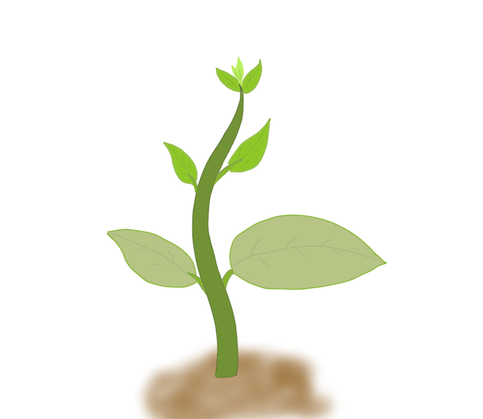 이산화탄소 결핍