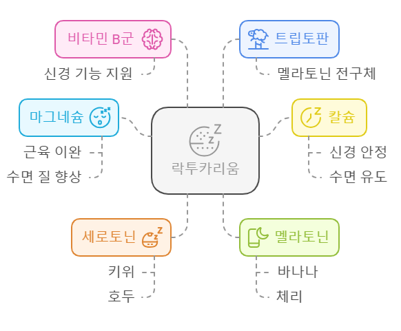 락투카리움 시너지 영양소