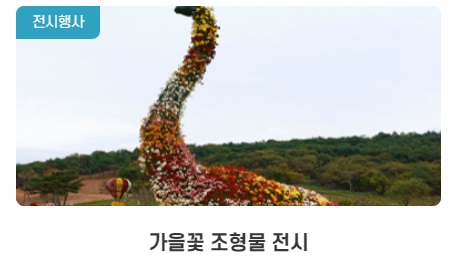 2024 화순 고인돌 가을꽃축제