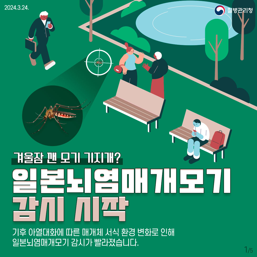 일본뇌염 증상