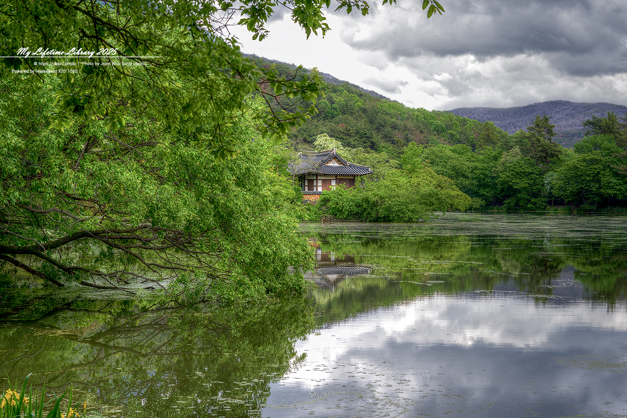 #밀양 #저수지 #위양지 #이팝