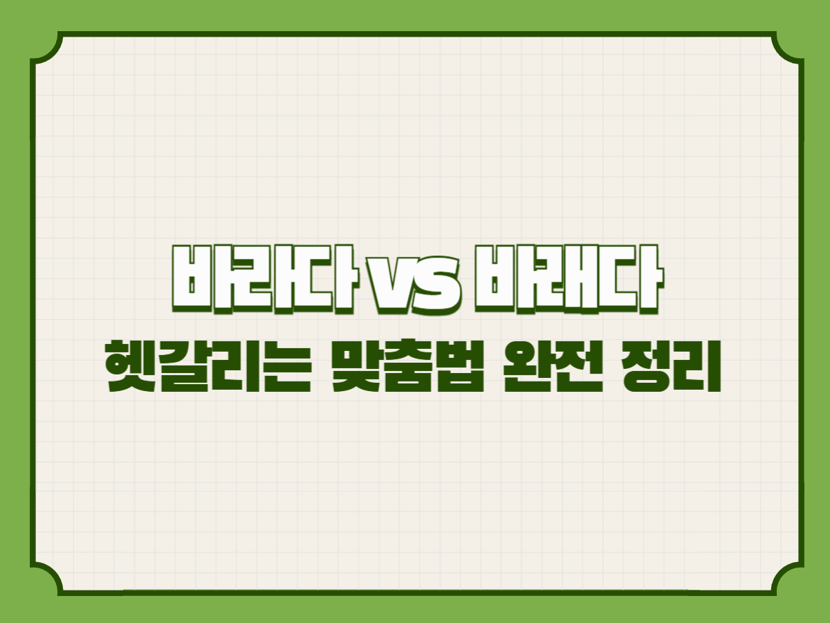 바라다 vs 바래다, 헷갈리는 맞춤법 완벽 정리