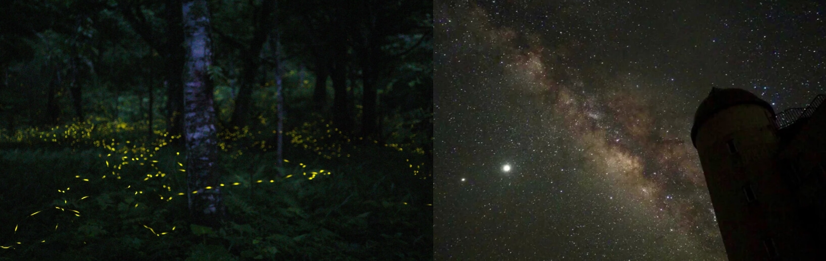 오키나와 여행(출처: 일본관광국)