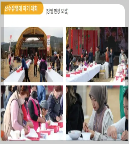 구례 산수유축제_14