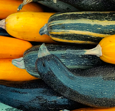 애호박 효능과 부작용 영양성분 고르는법 칼로리