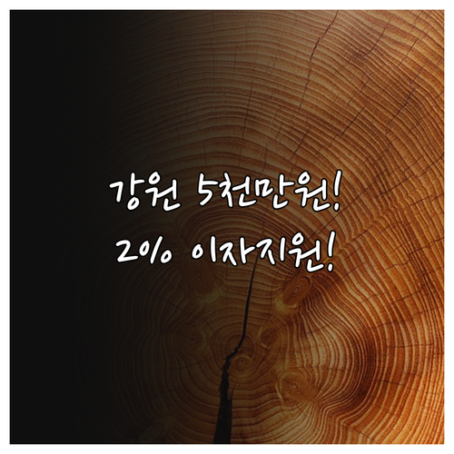 2025 강원 소상공인 경영안정자금 ..