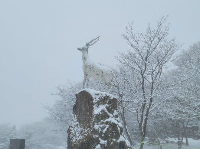 눈쌓인-사슴동상