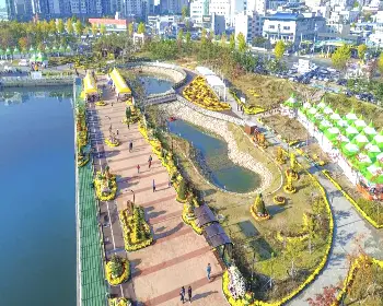 마산 가고파 국화축제_3