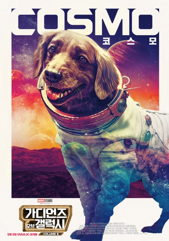 영화포스터