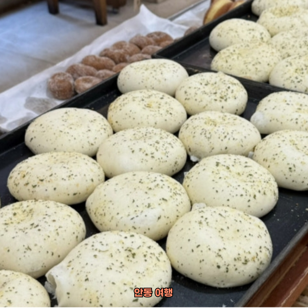 대구 출발 안동 당일치기 여행