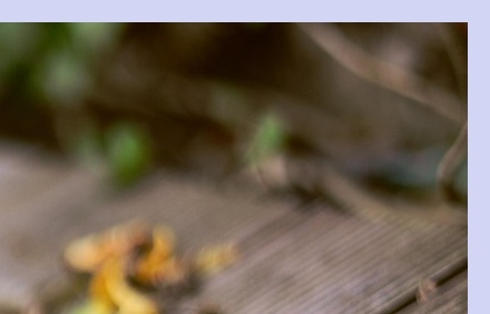 대상포진 치료방법