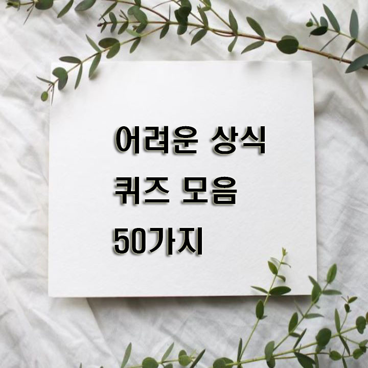 어려운-상식-퀴즈-모음-50가지
