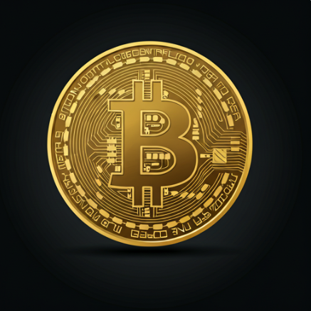 비트코인 골드의 미래 전망