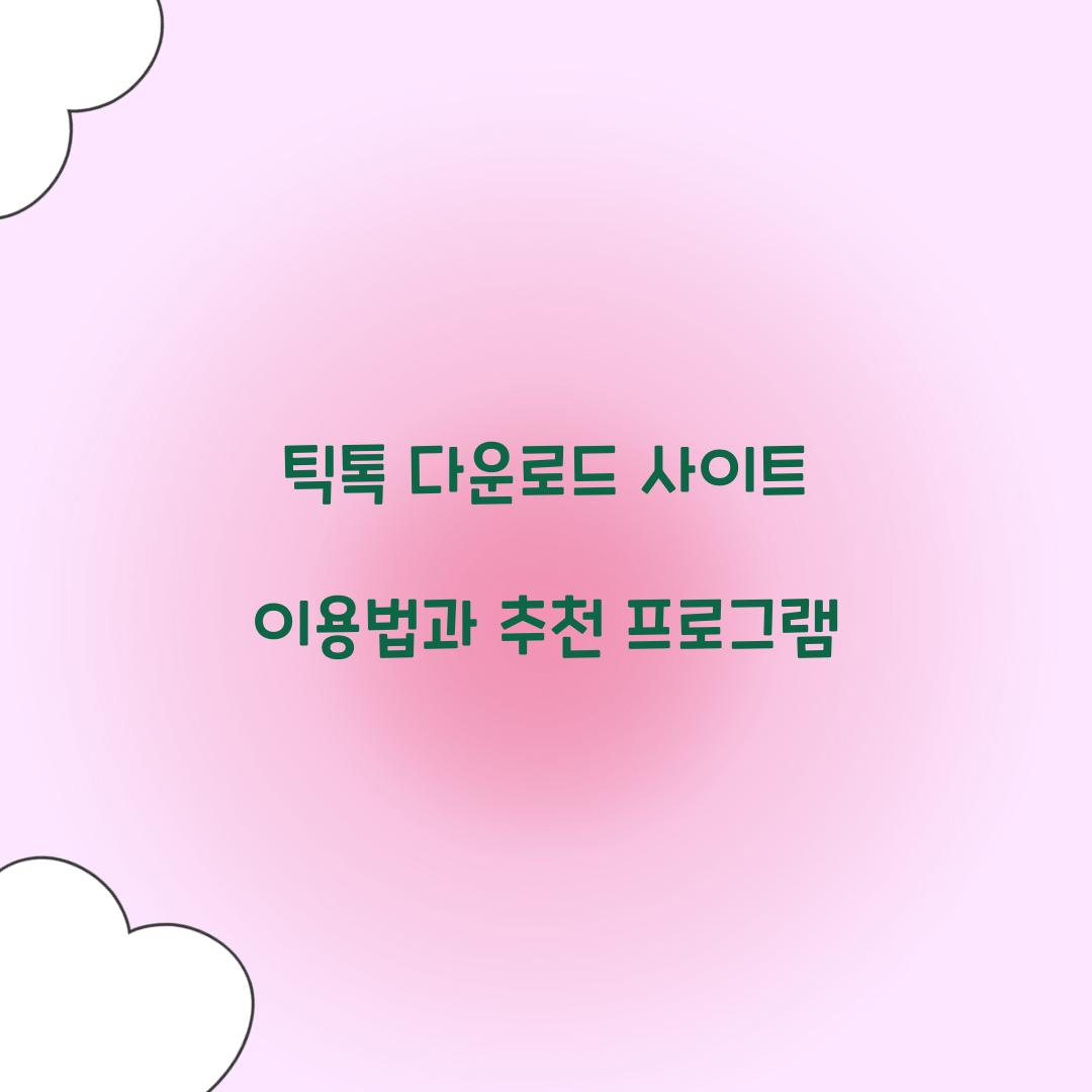 틱톡 다운로드 사이트