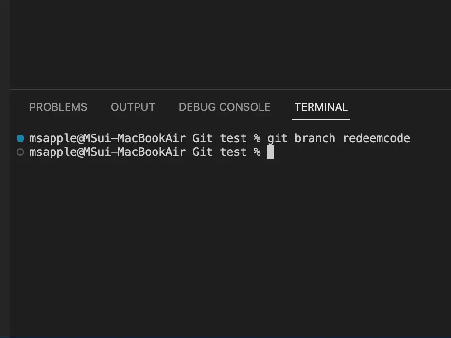 VSCode 터미널 화면