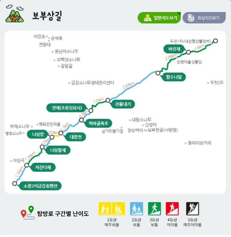 울진 금강송 소나무숲길