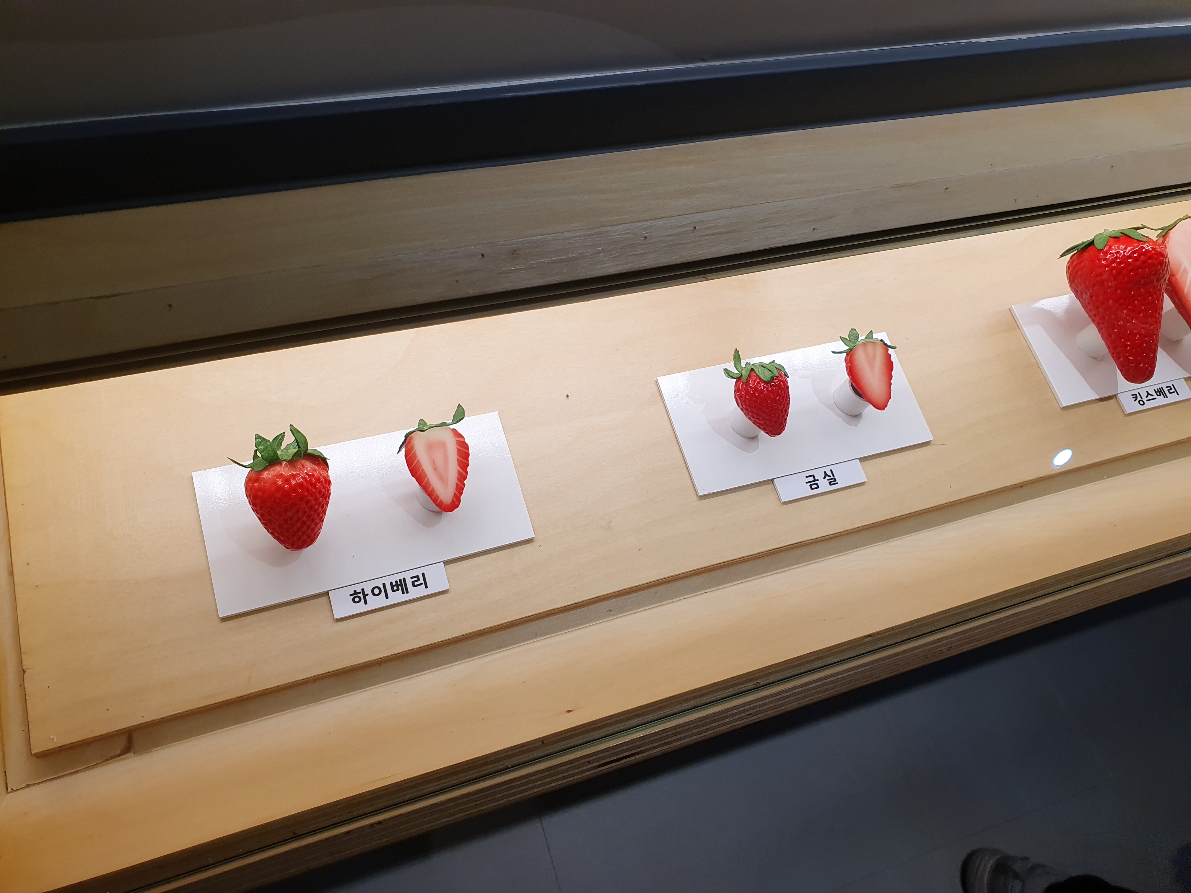 논산 딸기테마관 우리나라 딸기 품종별 모양