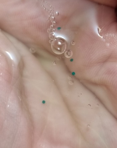 마이크로바이옴