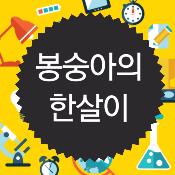 봉숭아의 한살이