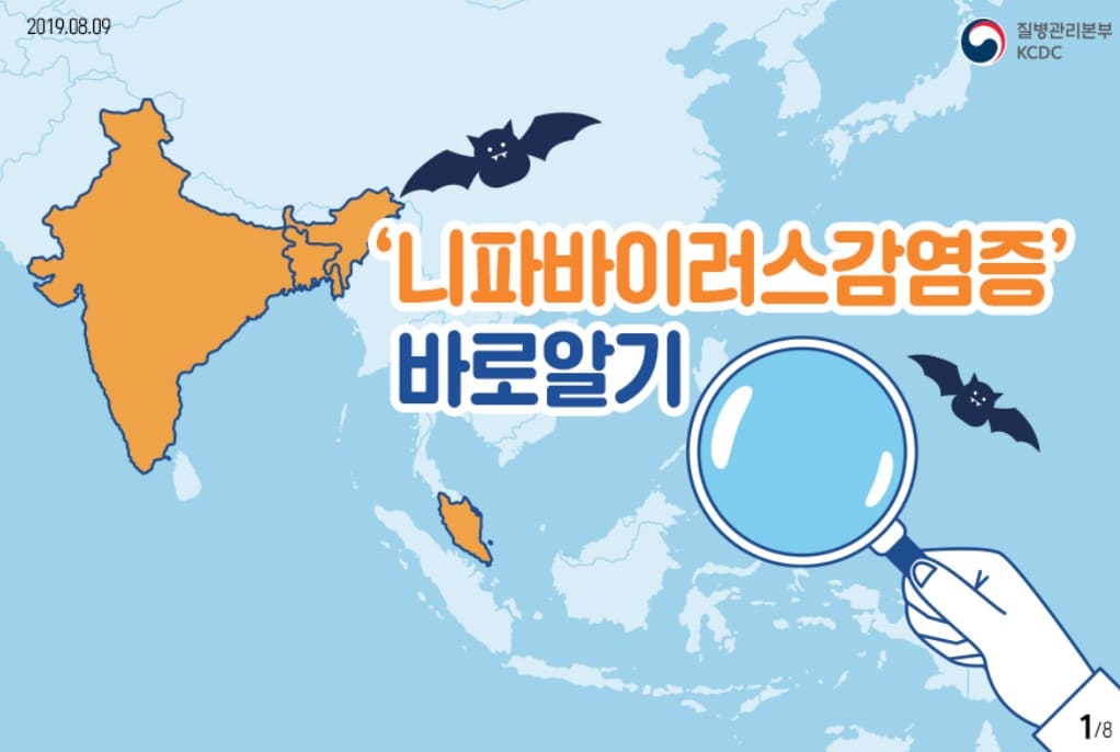 인도 니파 바이러스 감염증