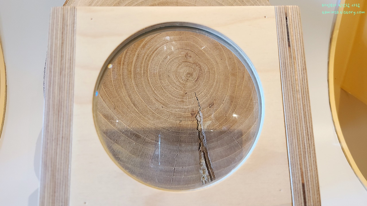 물맑음수목원-목재문화체험장