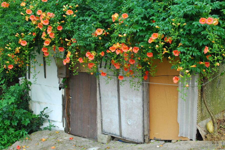 문현동 안동네 벽화마을