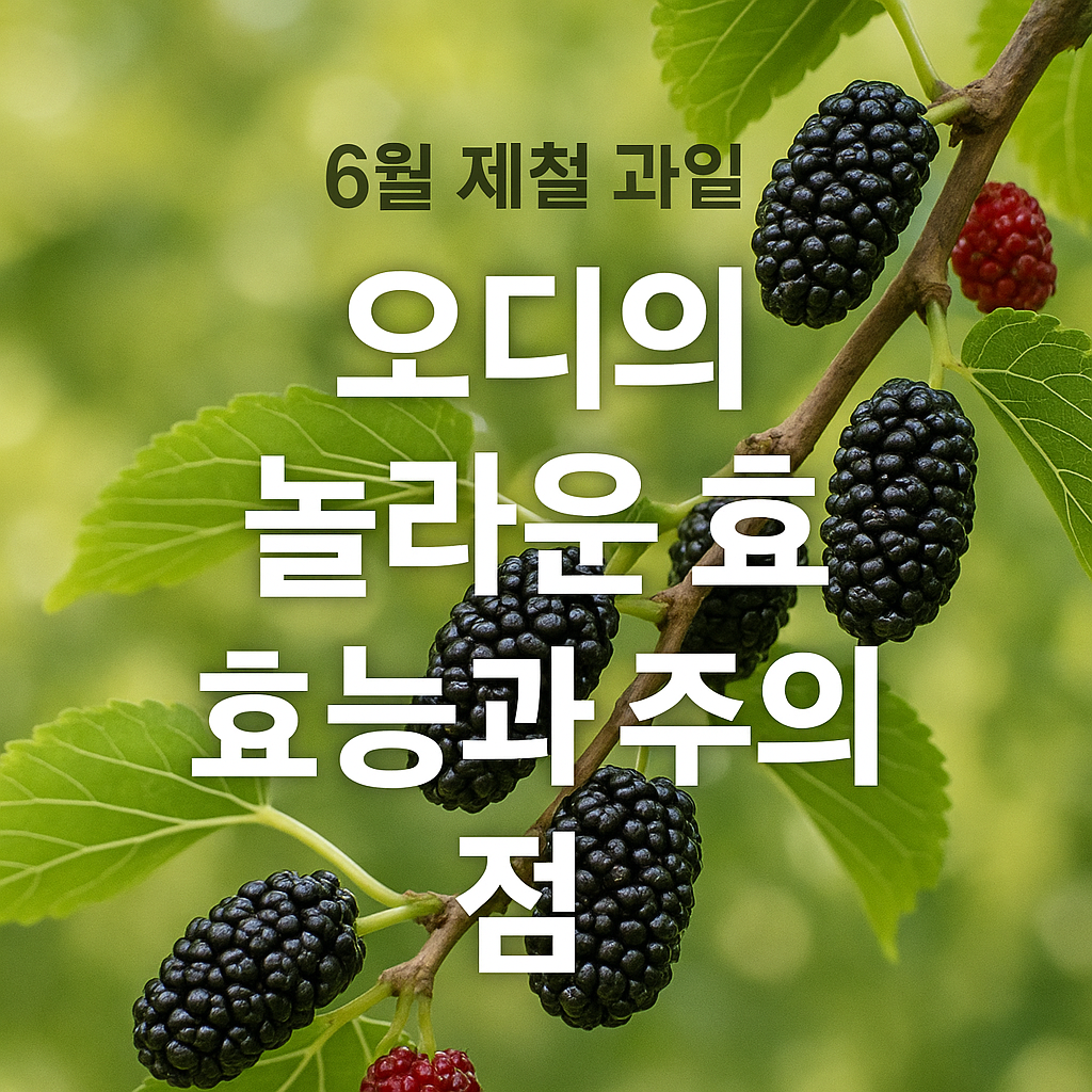 오디 효능
