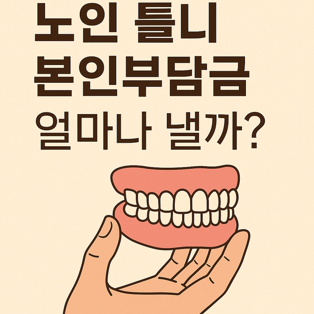 노인 틀니 본인부담금 얼마나 낼까 썸네일 이미지