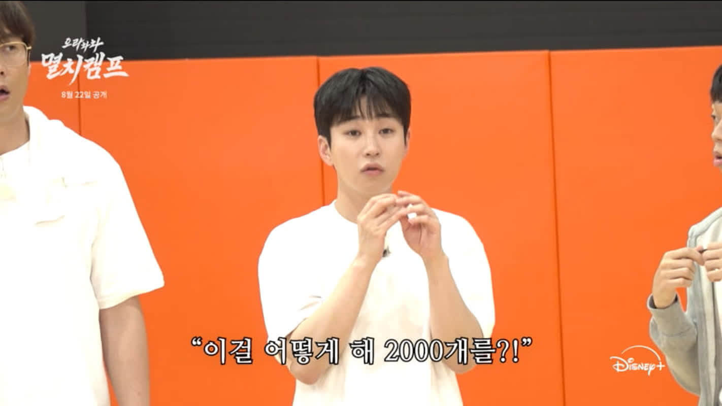 으라차차 멸치캠프