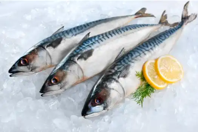 위암에 좋은 음식 10가지