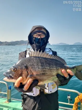 압해도 장감리 감성돔 포인트 소개와 혼자하는 낚시의 즐거움 완벽 낚시 가이드_5