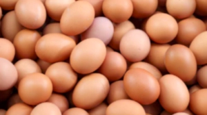 계란(달걀) 효능 부작용