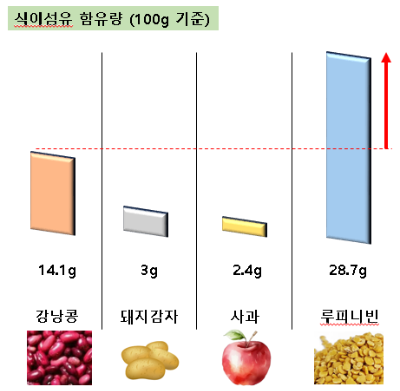 식이섬유 함유량 비교