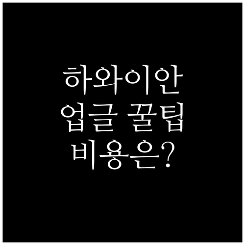 하와이안 항공 비즈니스 업그레이드 비..