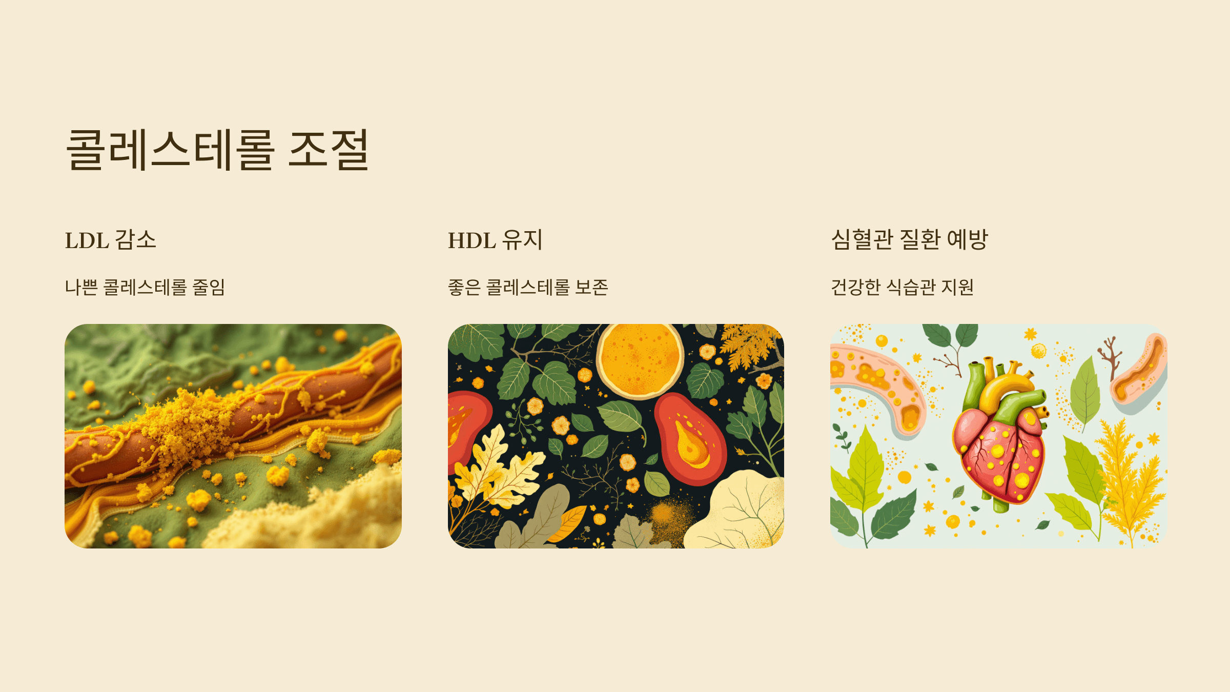 강황가루 사진입니다.