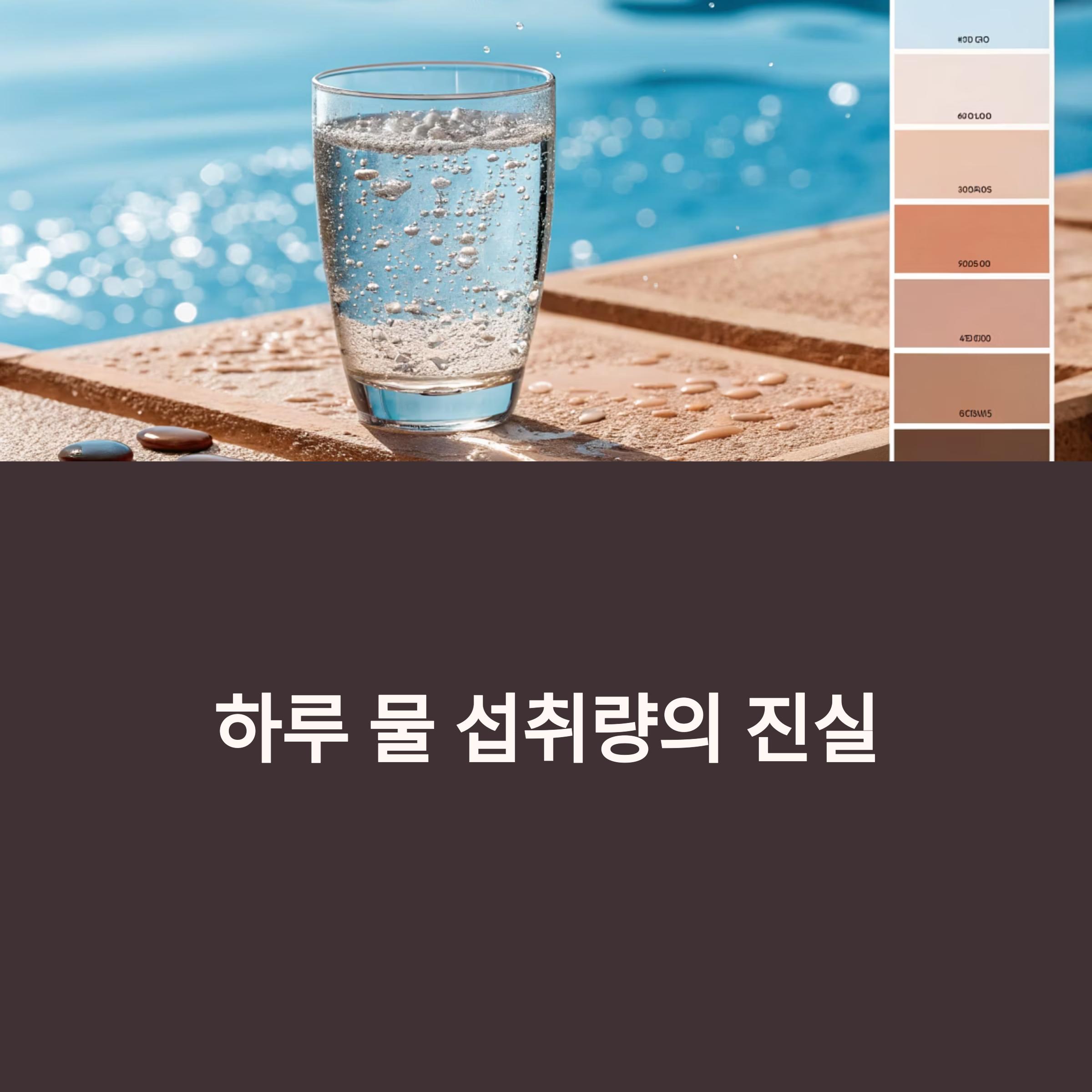 하루 물 섭취량의 진실