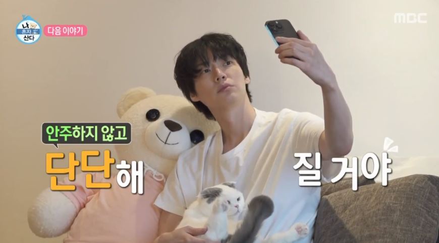 안재현 나혼산 고양이 반려묘 안주 일상 근황