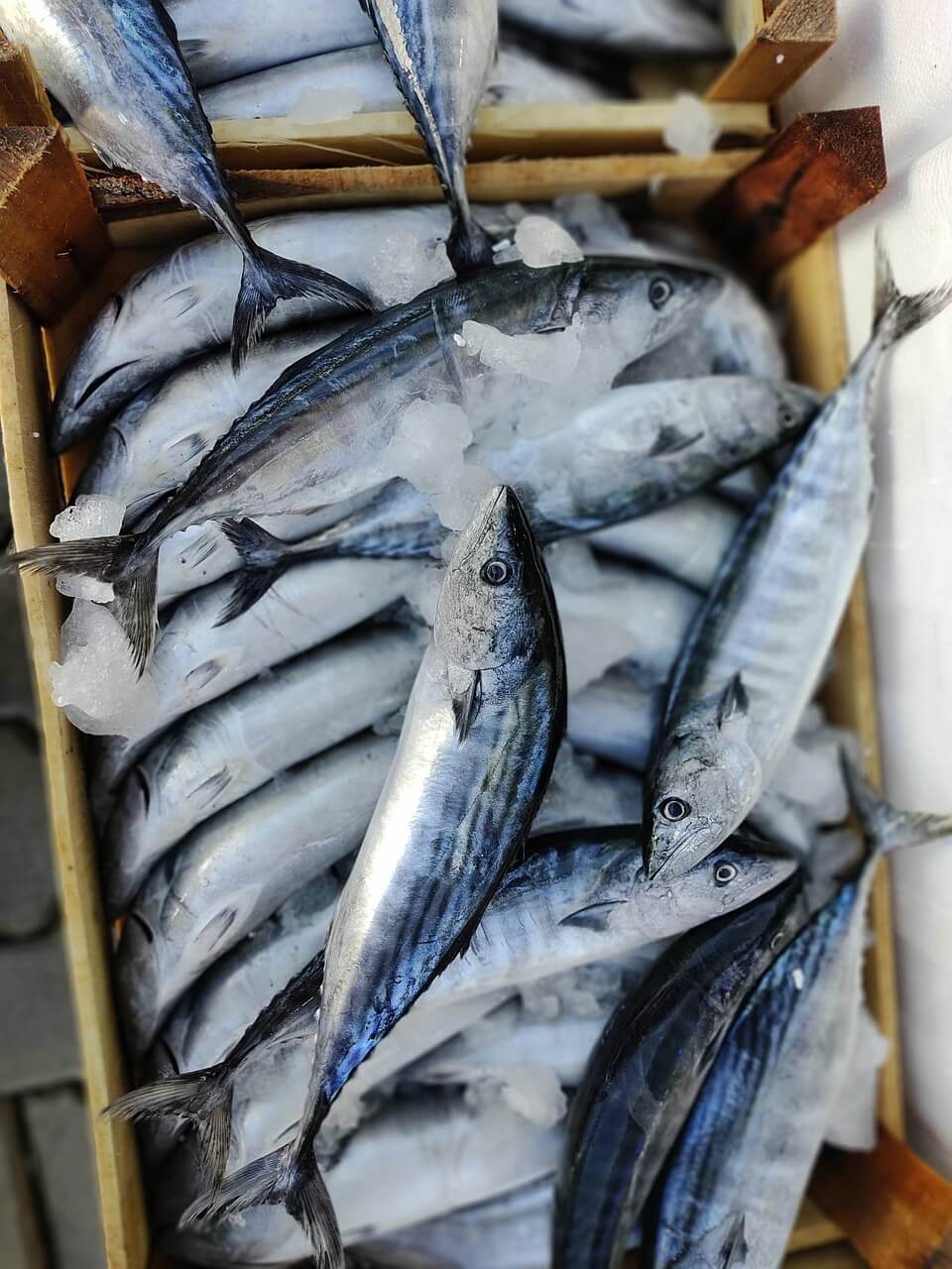 경상남도 농어업인수당 신청하고 연 30만원 지원 받기