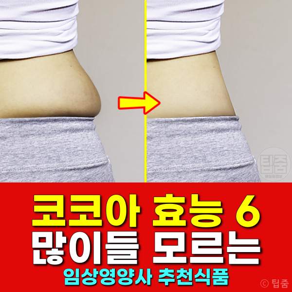 코코아 효능,코코아가루 효능,코코아 다이어트