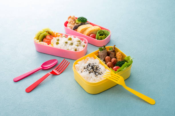 나들이 필수템 도시락통 추천