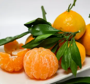 제주 귤 10kg 가격&amp;#44; 효능과 영양성분