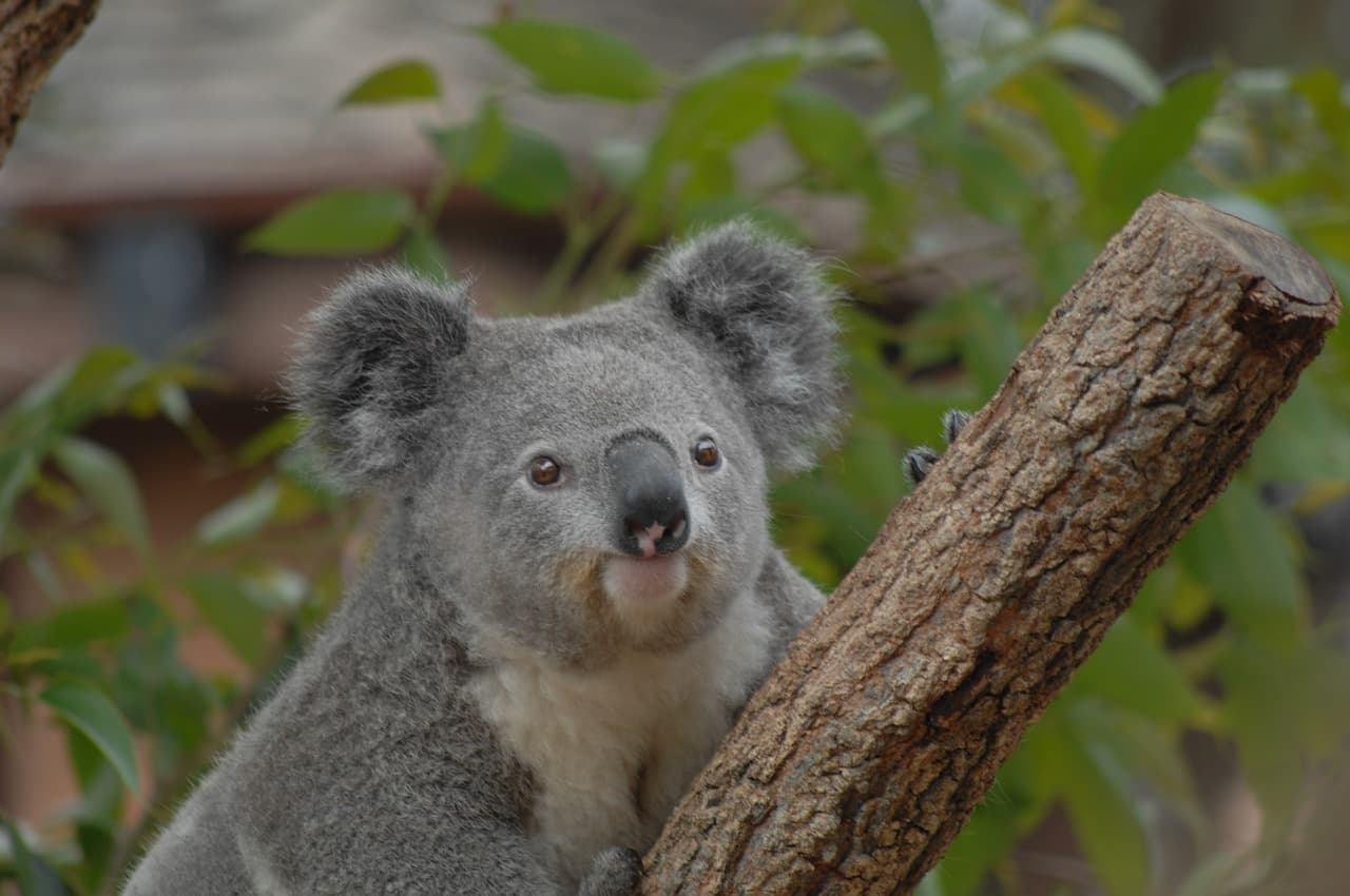 8. 오세아니아의 외딴 해안 마을: 자연과 전통이 살아 숨 쉬는 천혜의 낙원