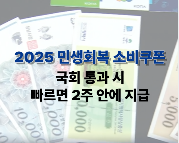 2025 민생회복 소비쿠폰