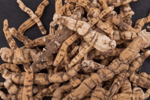 갱년기에좋은음식20