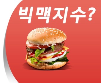 어려운 환테크: 달러인덱스&#44; 빅맥지수&#44; 기축통화 세븐스필릿 투자법