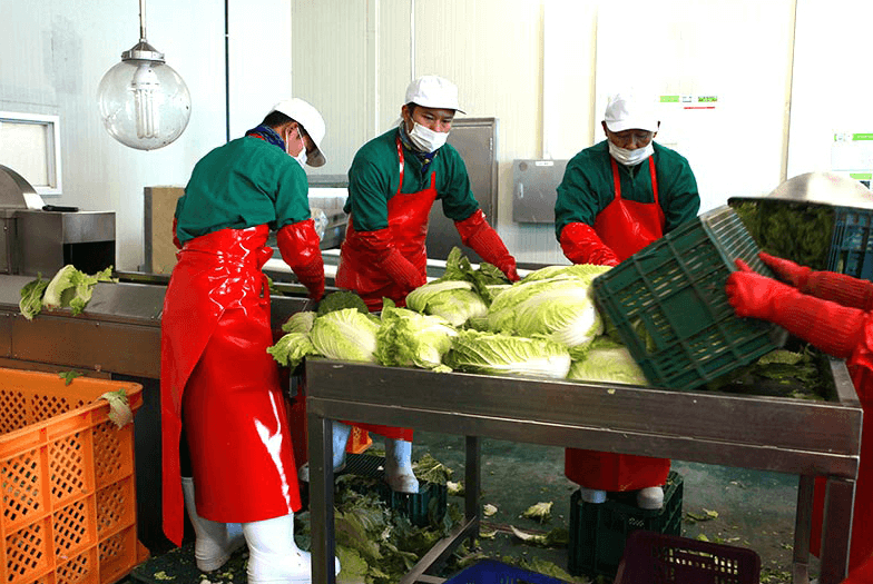 해남 절임배추 20kg 사전예약 가격비교