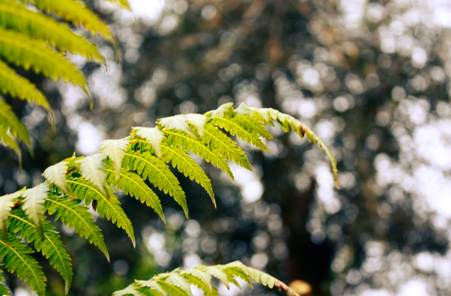 가평 여행 관련 사진