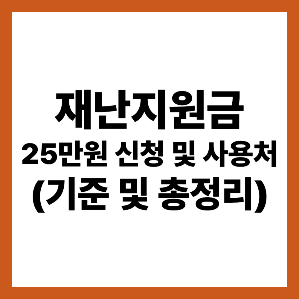 재난지원금 25만원 신청 및 사용처 (기준 및 총정리)
