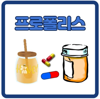 프로폴리스 복용법